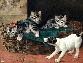 Kattennanny